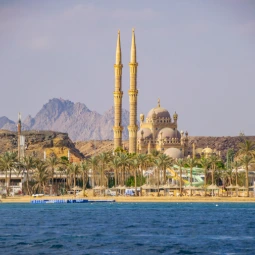 Private Transportation to Old Market from Sharm El Sheikh